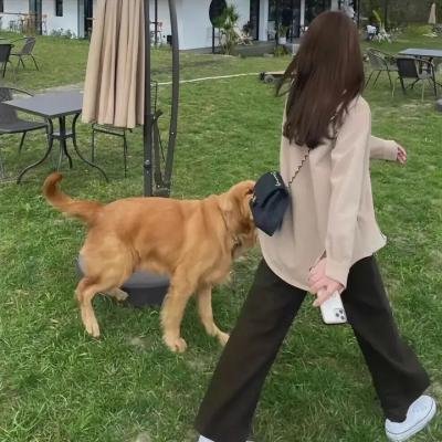 的士惊魂